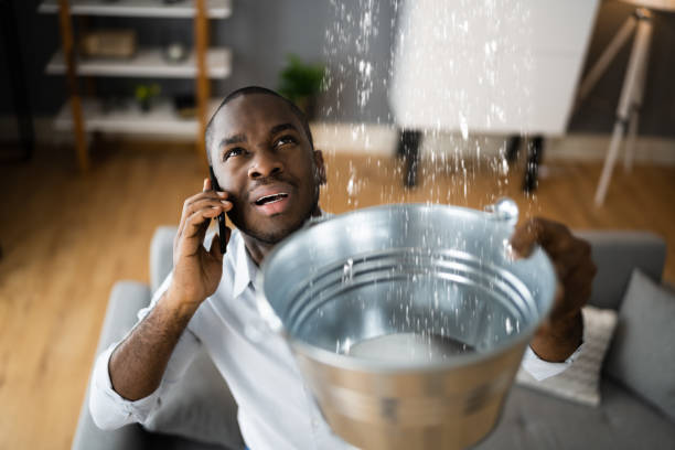 Best 24/7 water damage repair  in New Britain, CT