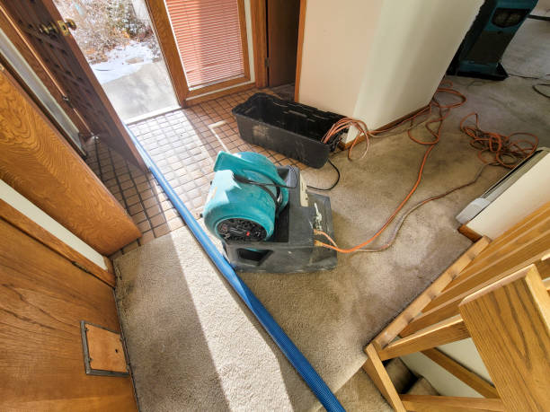 Trusted CT Water damage restoration Experts