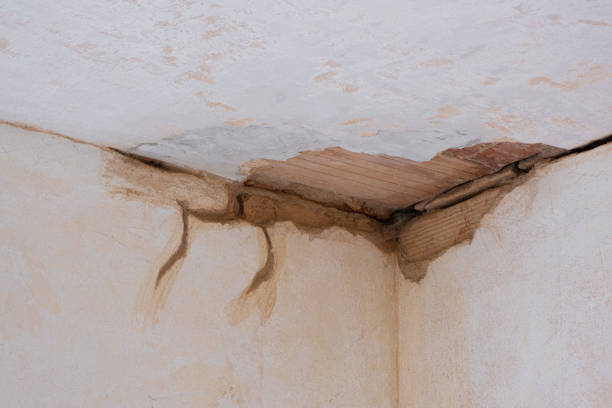 Best Local water damage restoration  in New Britain, CT