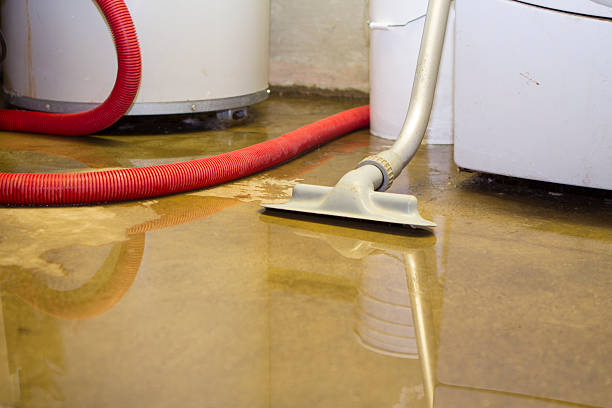 Best Ceiling water damage repair  in New Britain, CT