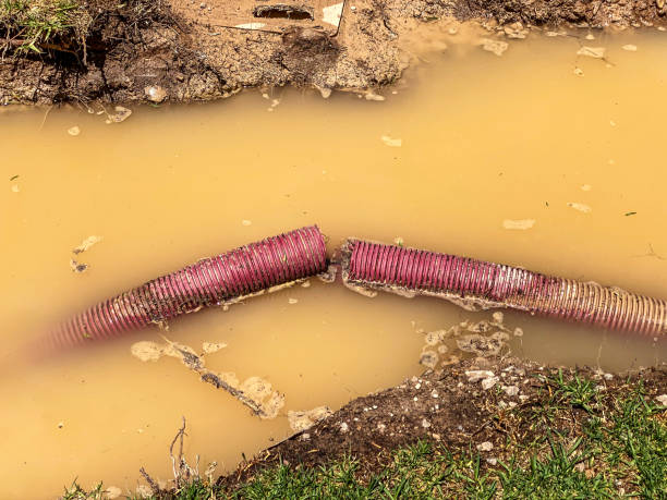 Best Water damage restoration near me  in New Britain, CT