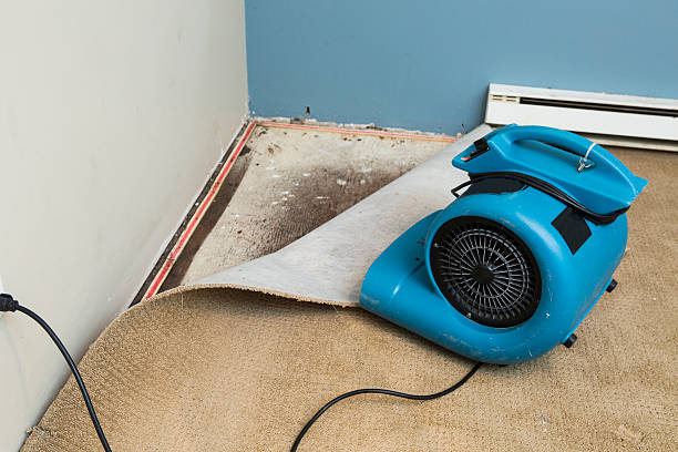 Best Water damage restoration near me  in New Britain, CT